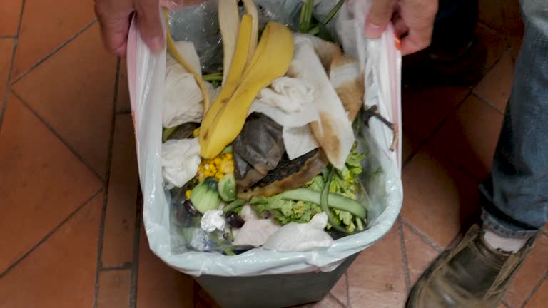 Best Retail Junk Removal  in Tsaile, AZ